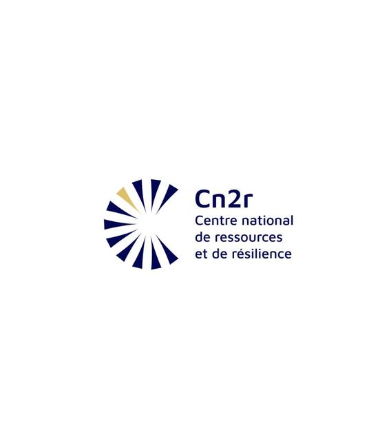 Logo Cn2r
