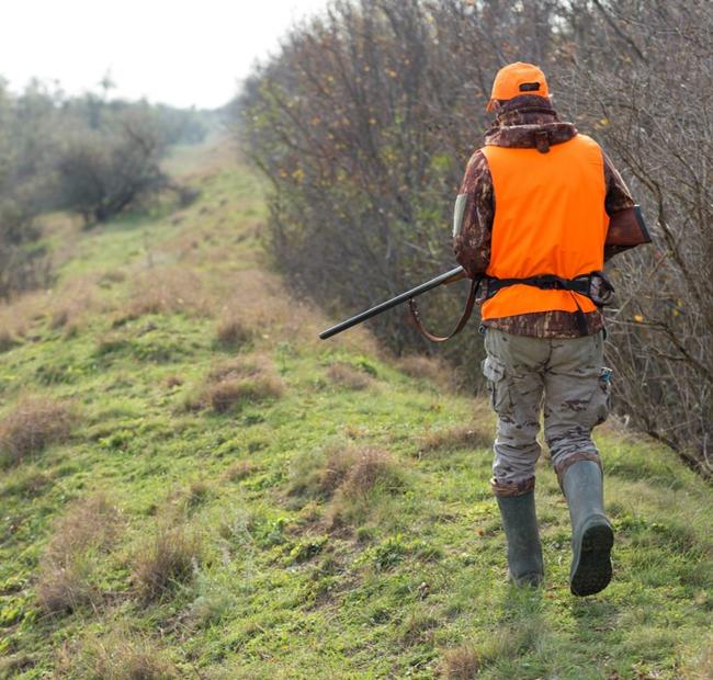 Chasseur
